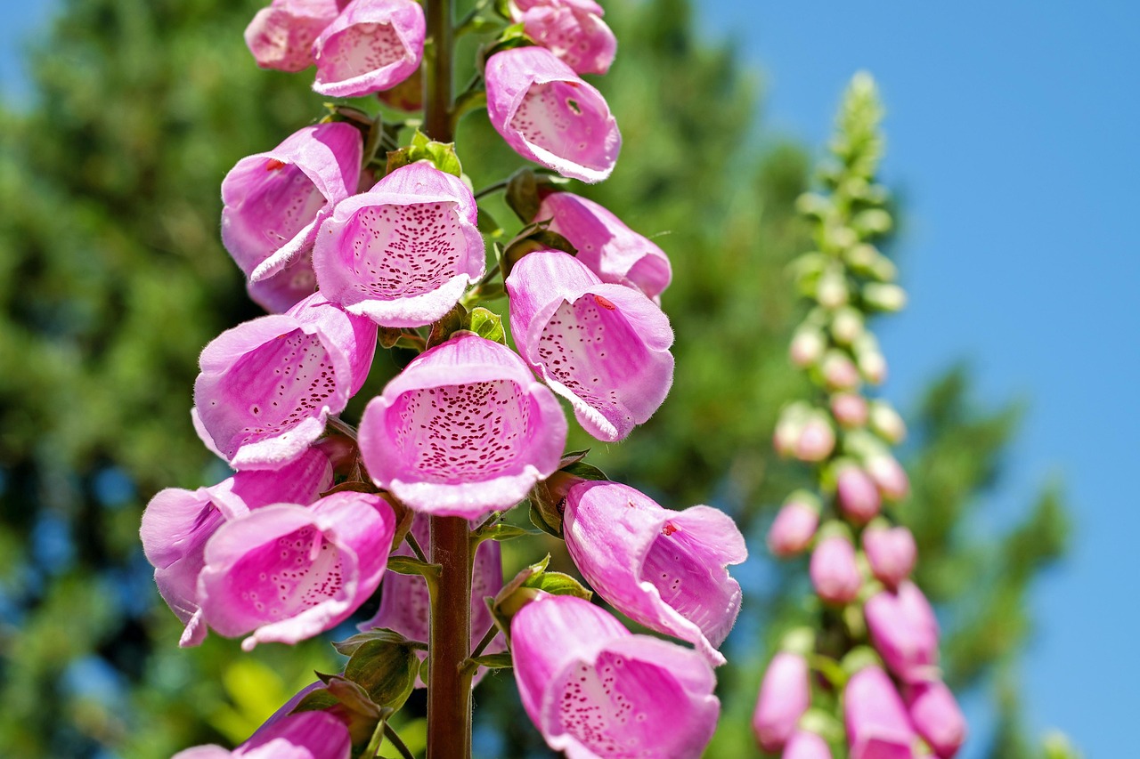 Verticale tuin met kruiden op balkonmuur.